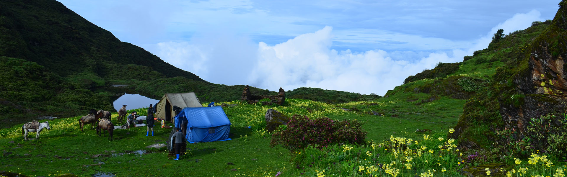 Druk Path Trek
