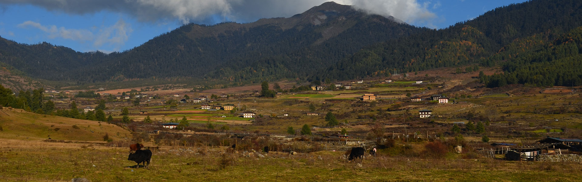 Bhutan Nature Lovers Tour